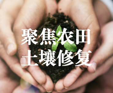 聚焦農(nóng)田土壤修復，保障糧食產(chǎn)品安全 ——踔厲奮發(fā)、篤行不怠，以奮斗之姿獻禮黨的二十大