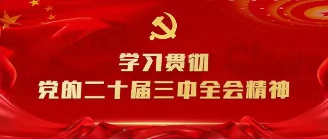 學習會議精神，貫徹落實工作 --川勘天晟源公司黨支部召開主題黨員大會